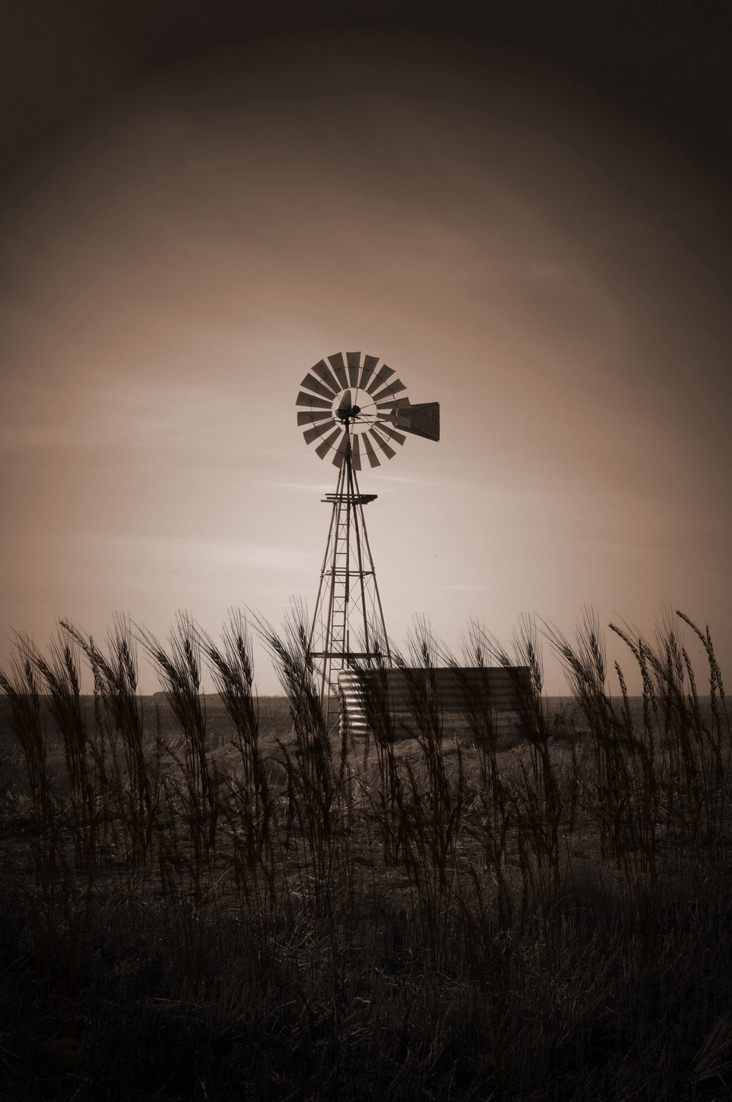 Bob Heyen Realty Texas Farm and Ranch Real Estate