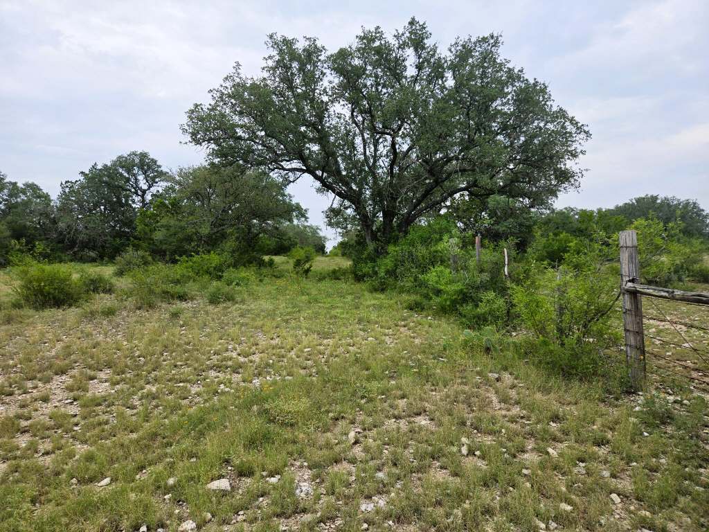 25.01 Acres (370 PR 3502), Hondo