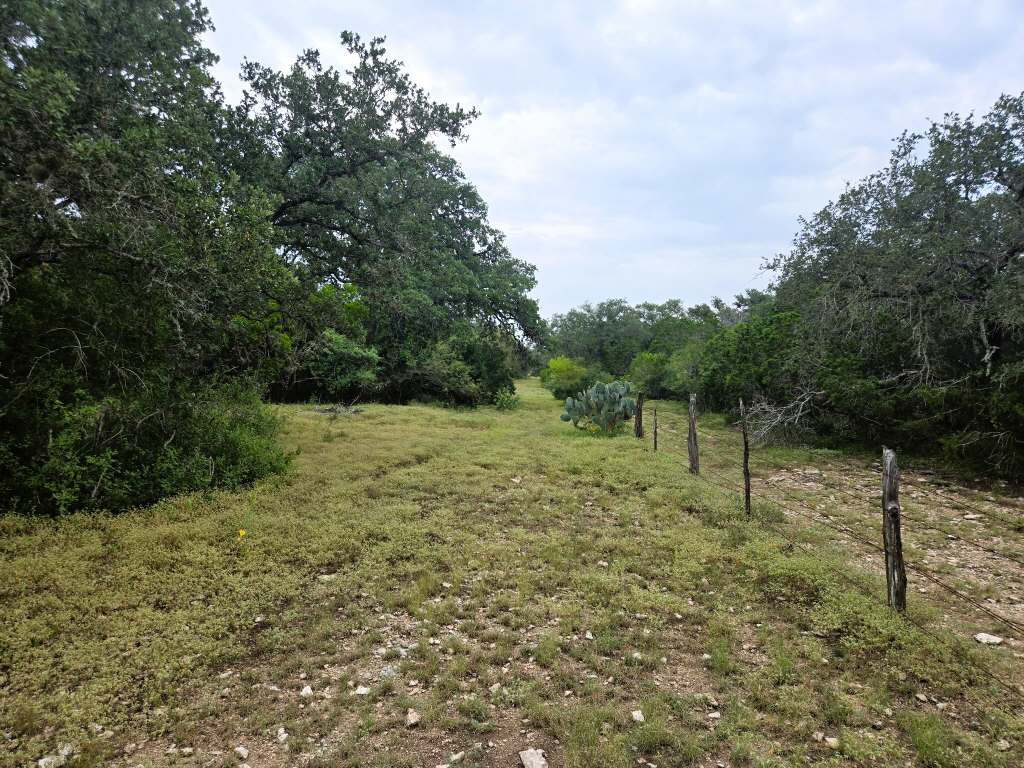 25.01 Acres (370 PR 3502), Hondo