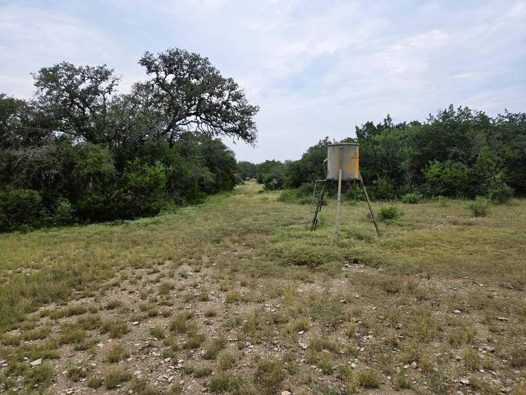 25.01 Acres (370 PR 3502, Hondo)