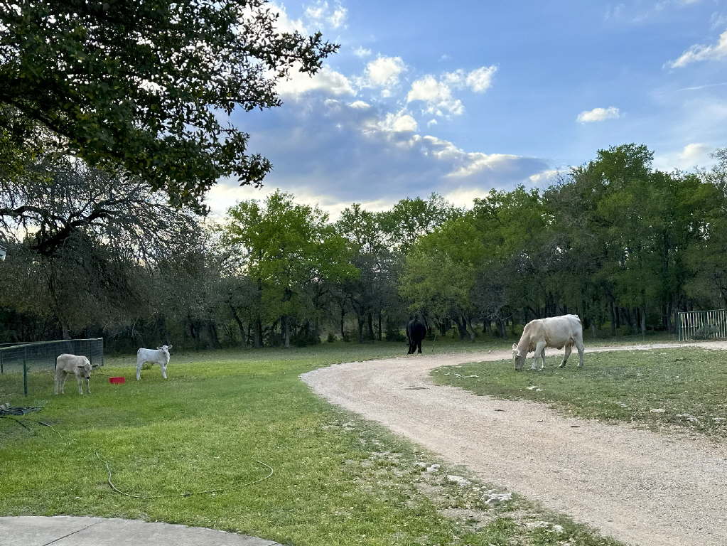 25.01 Acres (370 PR 3502, Hondo)