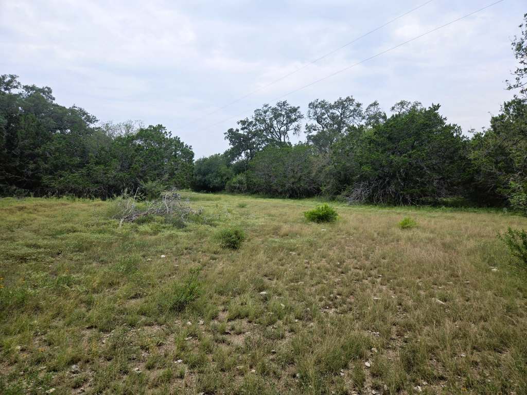 25.01 Acres (370 PR 3502, Hondo)