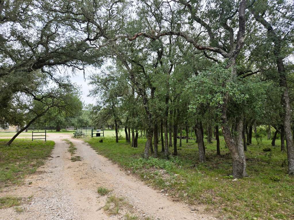 25.01 Acres (370 PR 3502, Hondo)