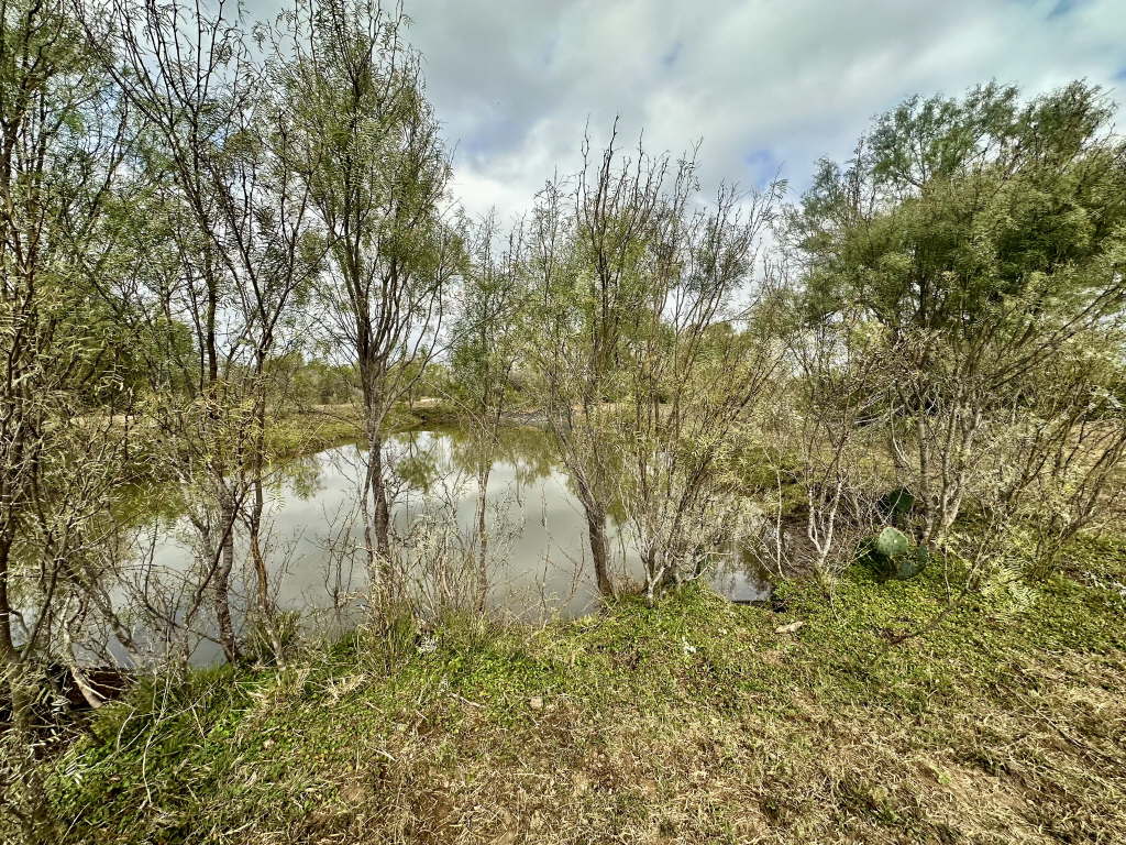 20.07 Acres, CR 733, Yancey