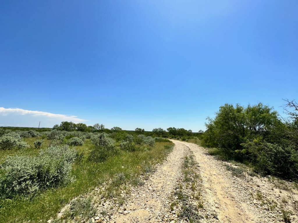 358 Acres, PR 6100, D'Hanis