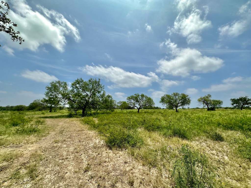 358 Acres, PR 6100, D'Hanis