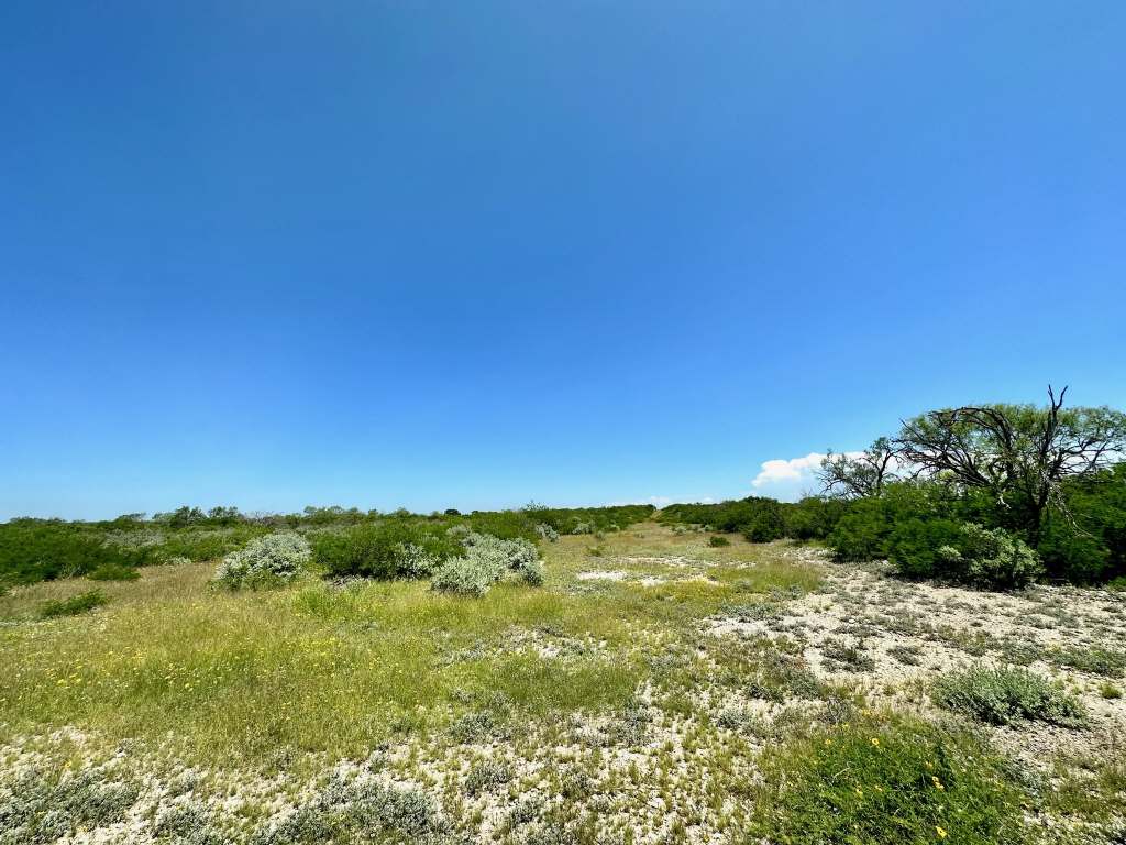 358 Acres, PR 6100, D'Hanis