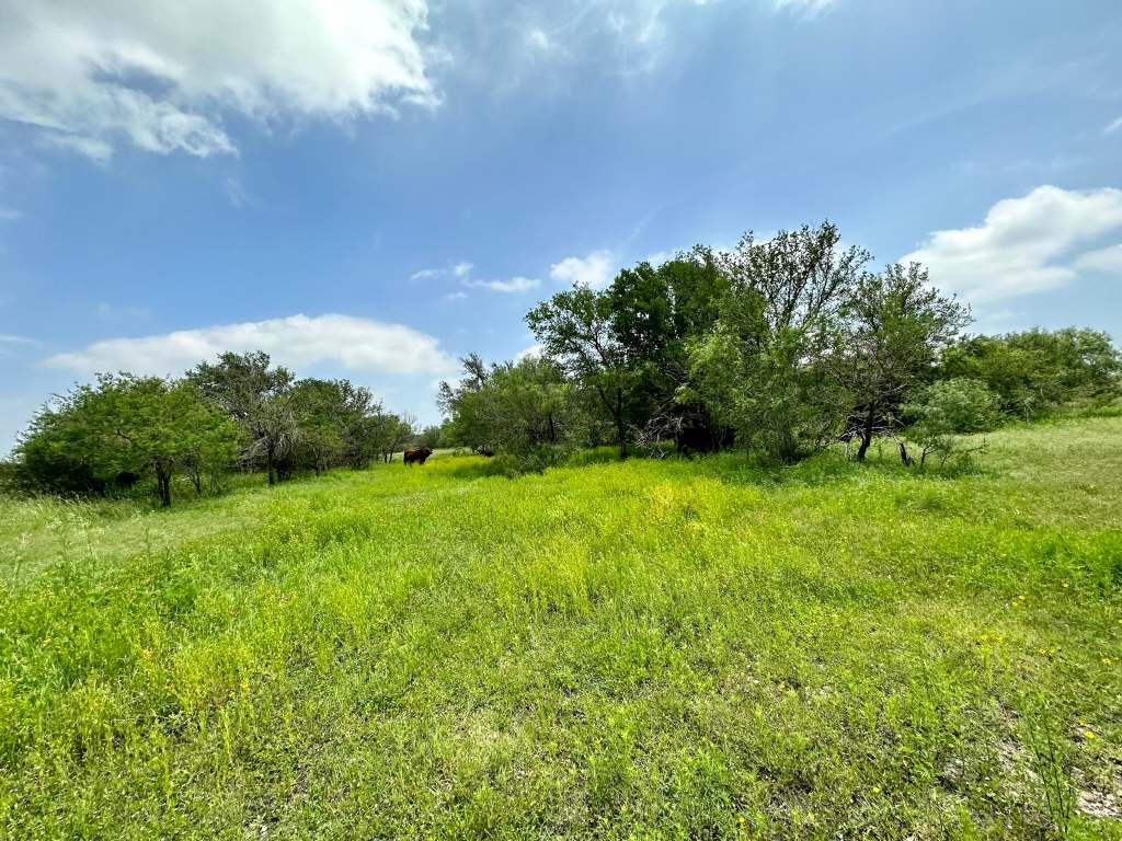 358 Acres, PR 6100, D'Hanis